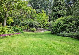 Optimiser l'expérience du jardin à Château-Chinon (Campagne)